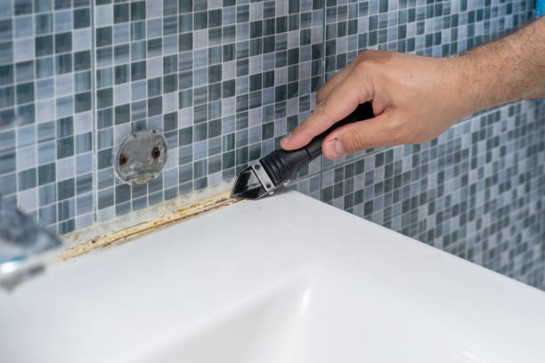 Best Mold Damage Repair  in Sterlington, LA